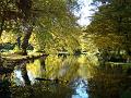 2012-1111-1245_Morden_Hall_Park_10C